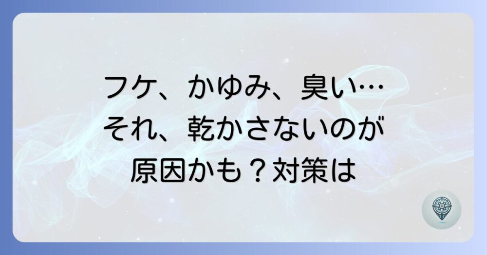 髪を乾かさないとフケが出る？原因と対策、正しいヘアケア方法を徹底解説！