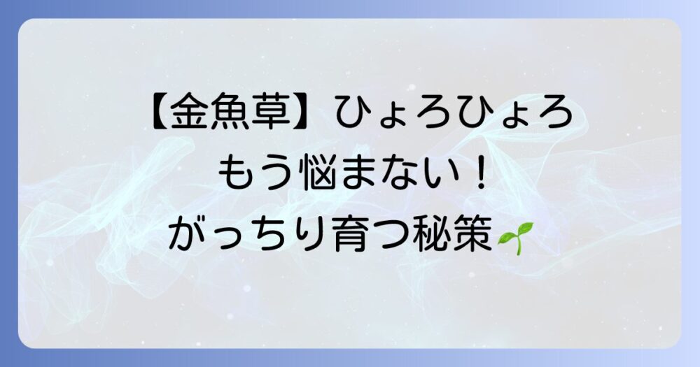 金魚草がひょろひょろになる原因と対策！がっちり育てるコツを徹底解説