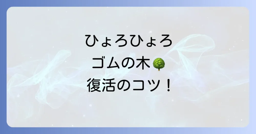 ひょろひょろになったゴムの木の復活方法