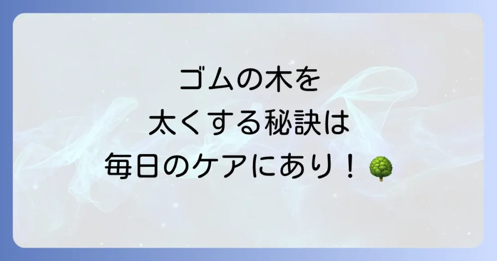 ゴムの木を太く元気に育てるための日常ケア