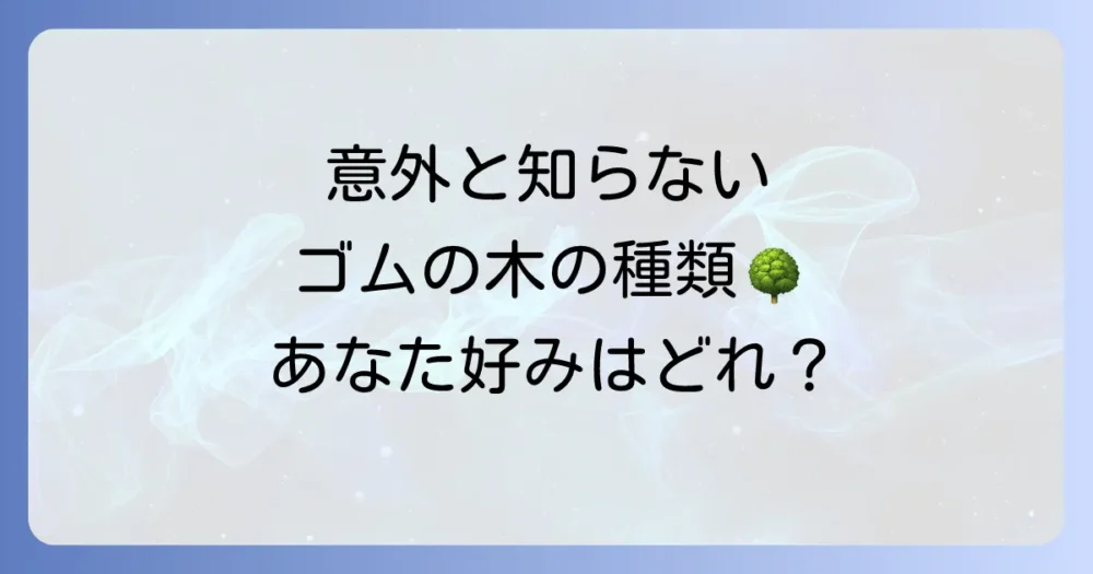 ゴムの木の種類と特徴