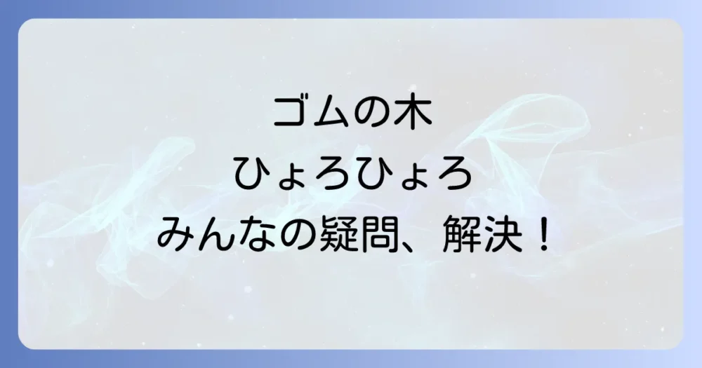 ゴムの木 ひょろひょろに関するよくある質問
