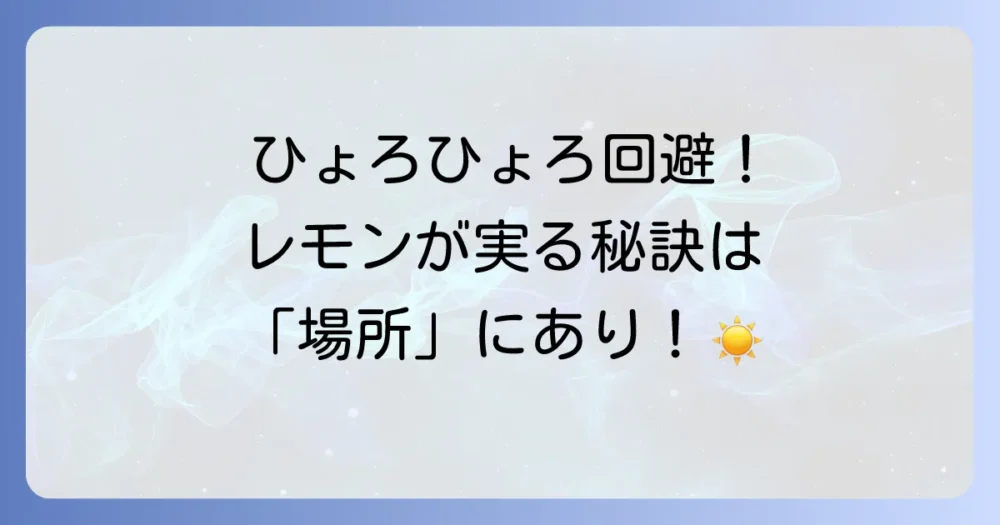 ひょろひょろを防ぎ、たくさんの実をつけるための栽培環境