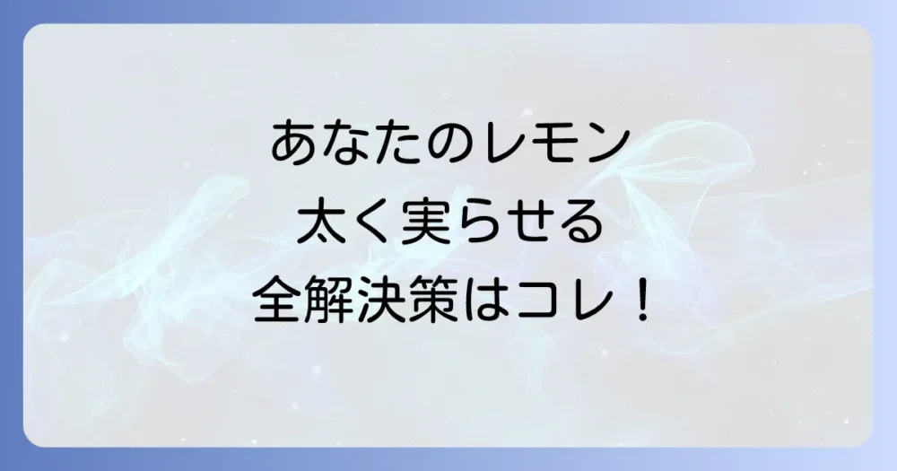 まとめ