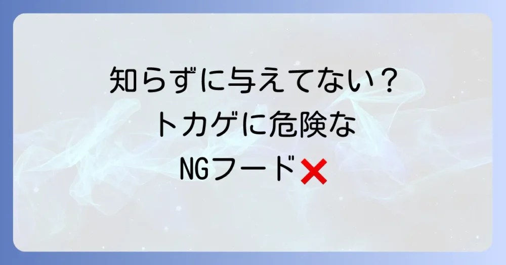 ニホントカゲに与えてはいけない食べ物と注意点