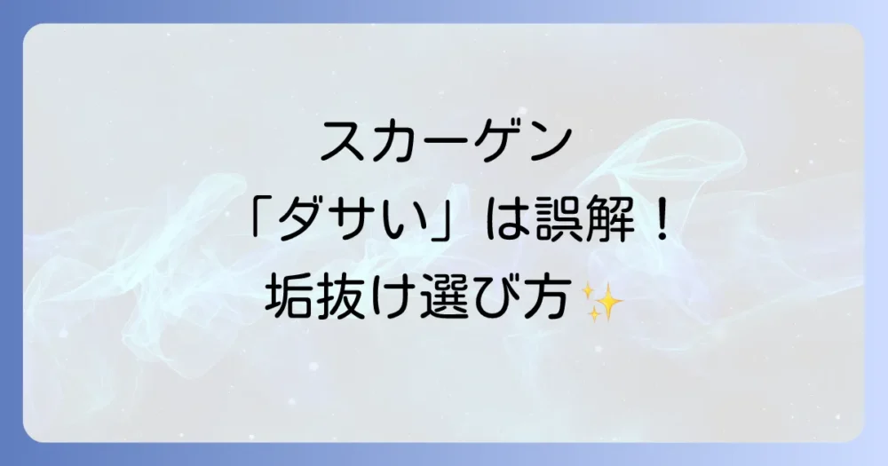 もう「ダサい」なんて言わせない！スカーゲンのおしゃれな選び方【男女別】