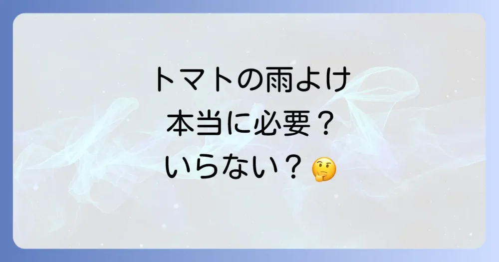 トマト栽培で雨よけは本当にいらないの?