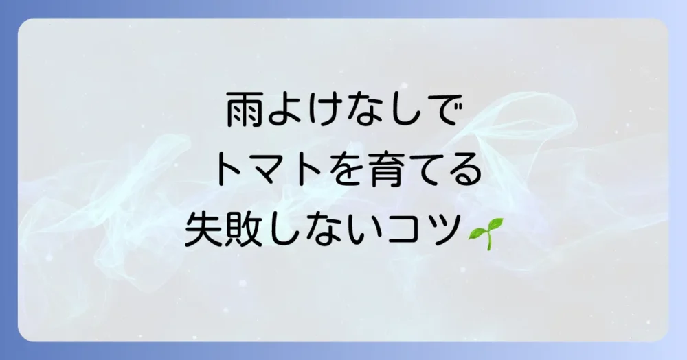 雨よけをしない場合のトマト栽培のコツ