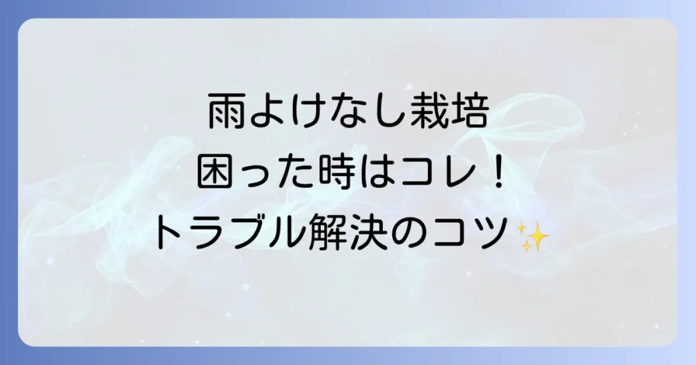 雨よけなしで起こりやすいトラブルと対策