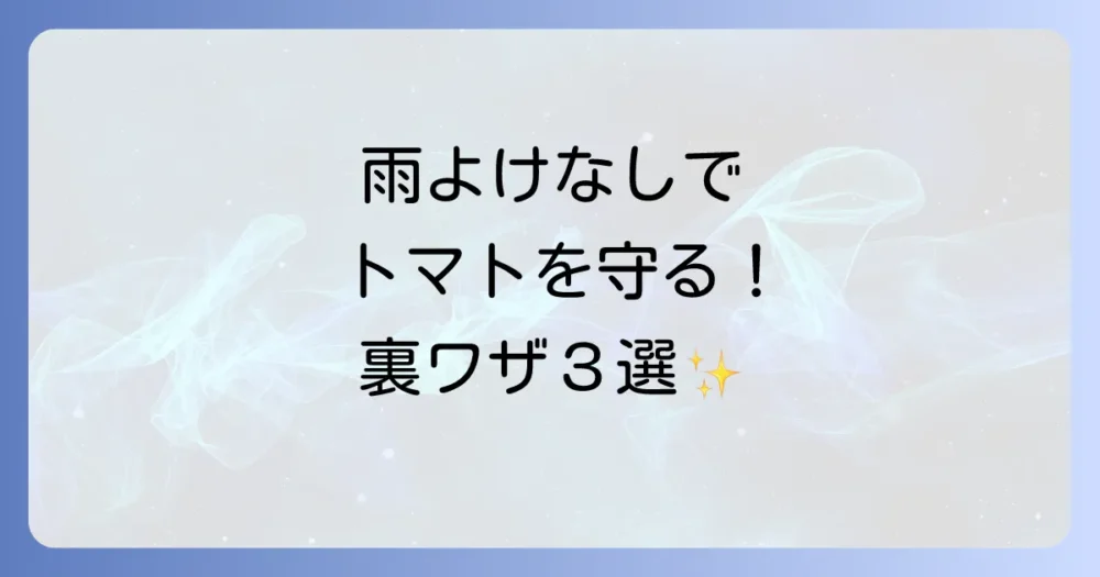 雨よけの代わりになるものはある?