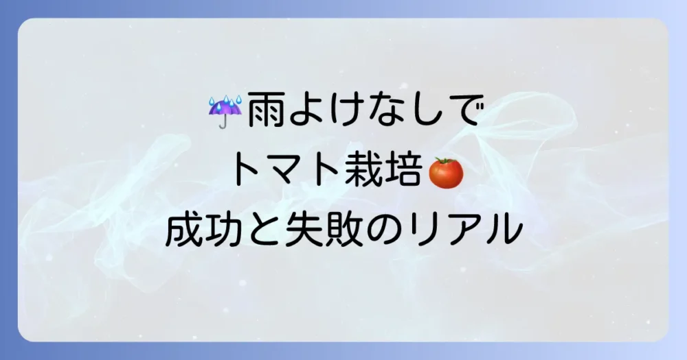 【体験談】雨よけなしでトマト栽培に挑戦!成功と失敗の分かれ道