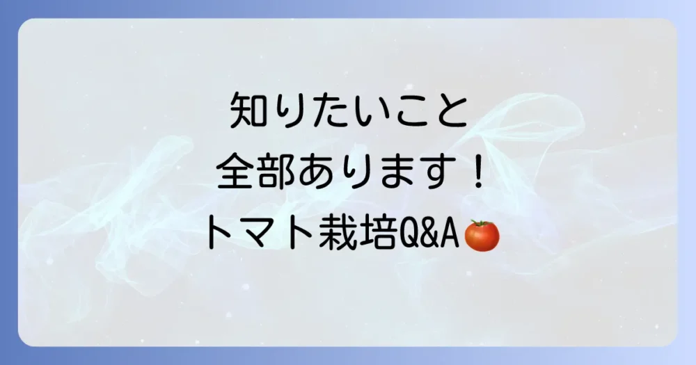 よくある質問