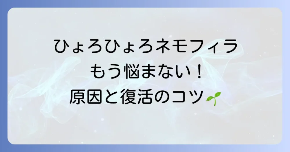 ネモフィラが徒長したらどうする？原因と復活方法、予防策まで徹底解説