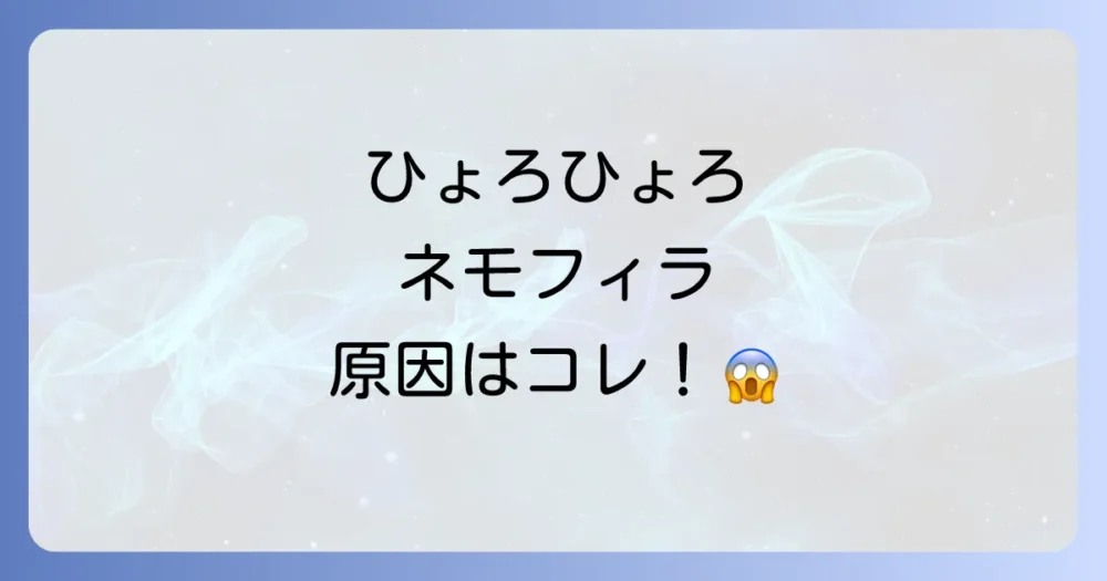 ネモフィラが徒長する主な原因