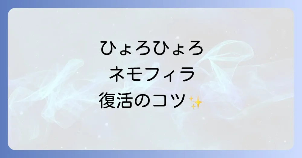 ネモフィラが徒長してしまった場合の対処法