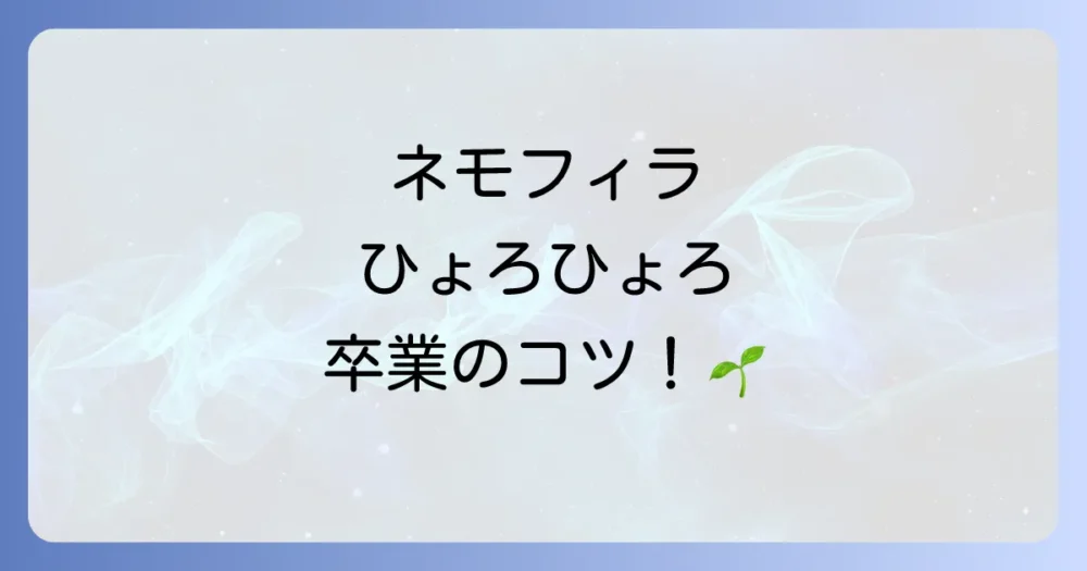 ネモフィラを徒長させないための予防策