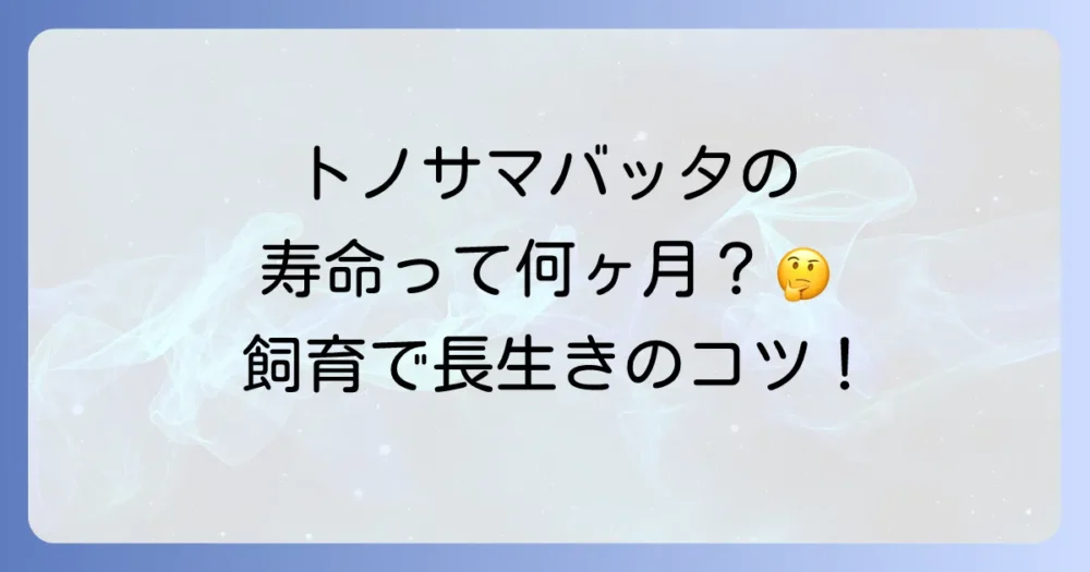 トノサマバッタの基本的な寿命