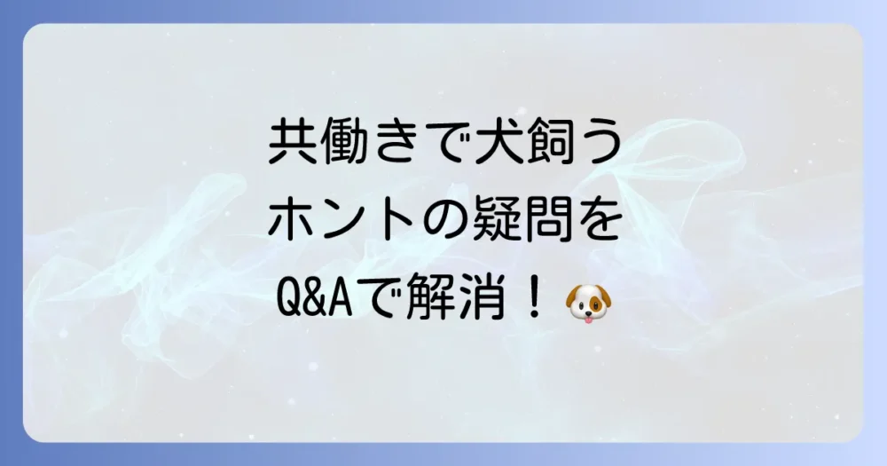 共働きで犬を飼う際の疑問をスッキリ解消！よくある質問Q&A