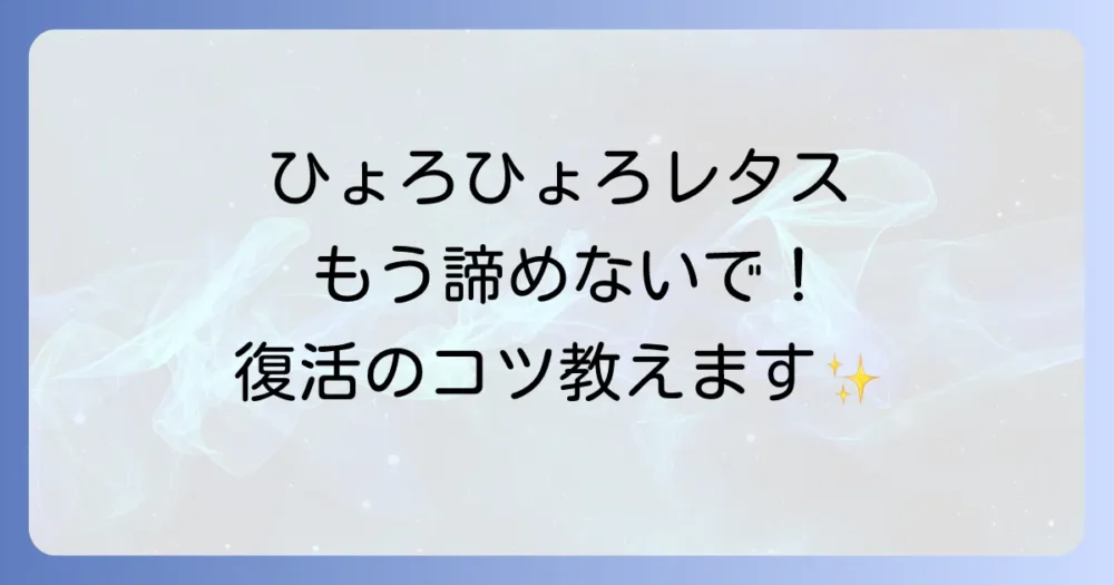 もうダメかも…と諦めないで!徒長してしまったレタスの水耕栽培での対処法