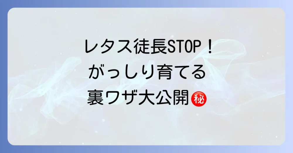 もう徒長させない!水耕栽培でレタスをがっしり育てるための予防策