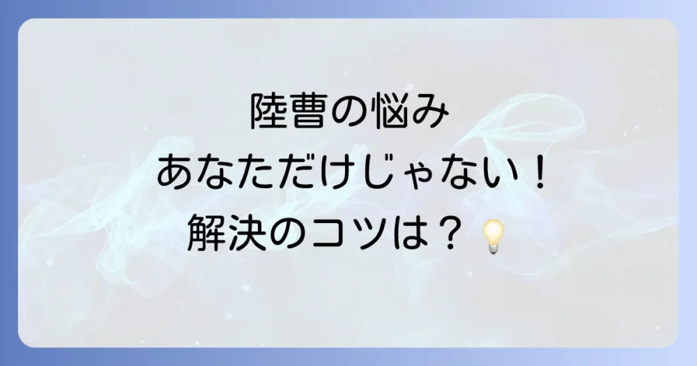 【悩み解決】陸曹が直面しがちな壁と乗り越え方