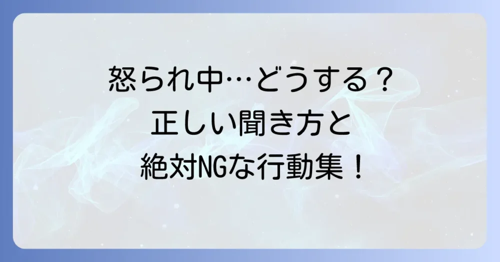 【実践編】怒られている最中の正しい聞き方とNG行動