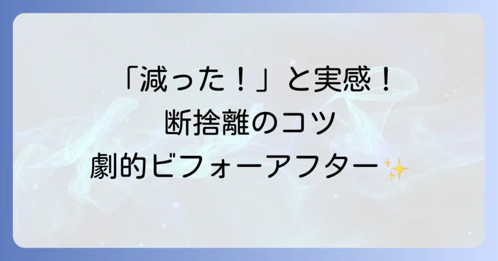 「減った！」と実感できる！断捨離を成功させる劇的ビフォーアフター術