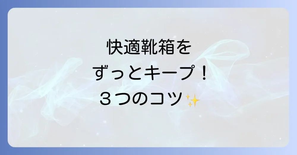 靴箱収納を快適に保つための注意点