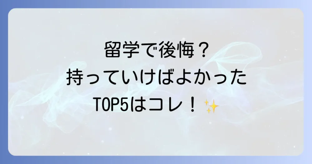 【経験者が語る】アメリカ留学で本当に持っていけばよかった物リスト！後悔しないための持ち物完全解説