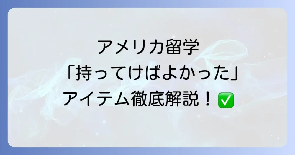カテゴリ別!アメリカ留学で持っていけばよかった物リスト
