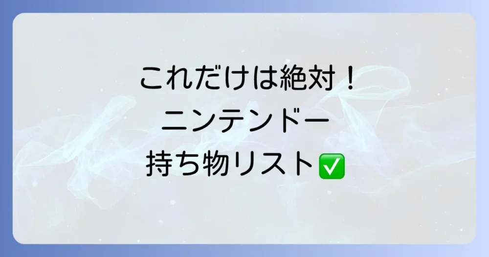 これだけは絶対忘れないで!ニンテンドーミュージアム必須の持ち物リスト