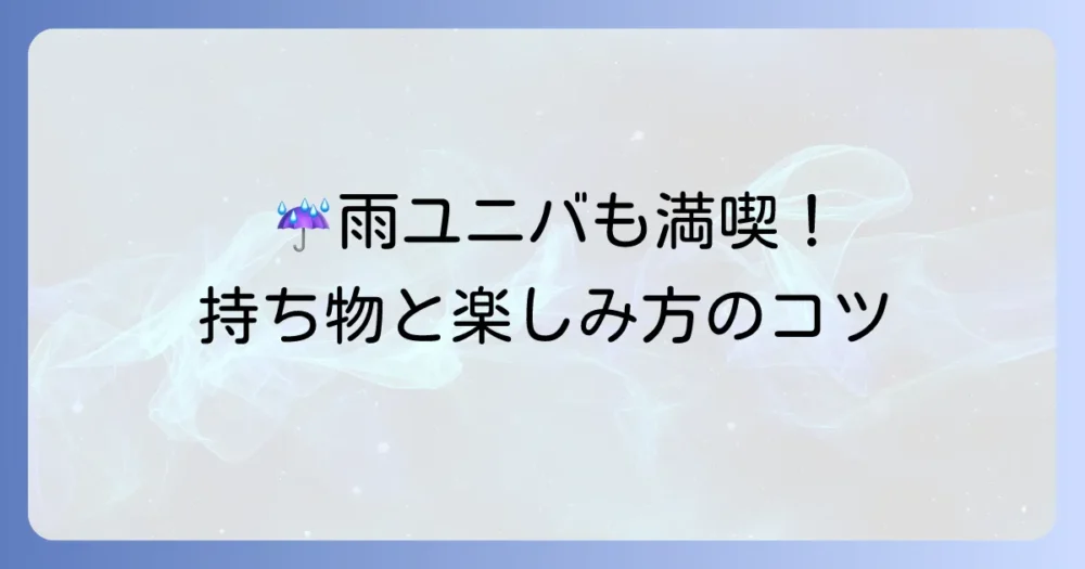 【天気別】雨の日でも安心!ユニバの持ち物と楽しみ方