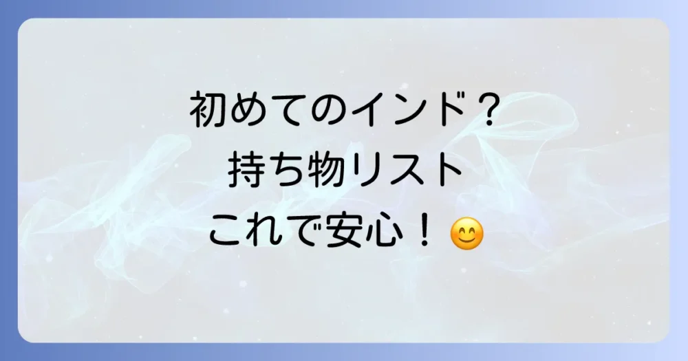 【2025年版】インド出張の持ち物リスト決定版！必需品から女性向けアイテムまで徹底解説