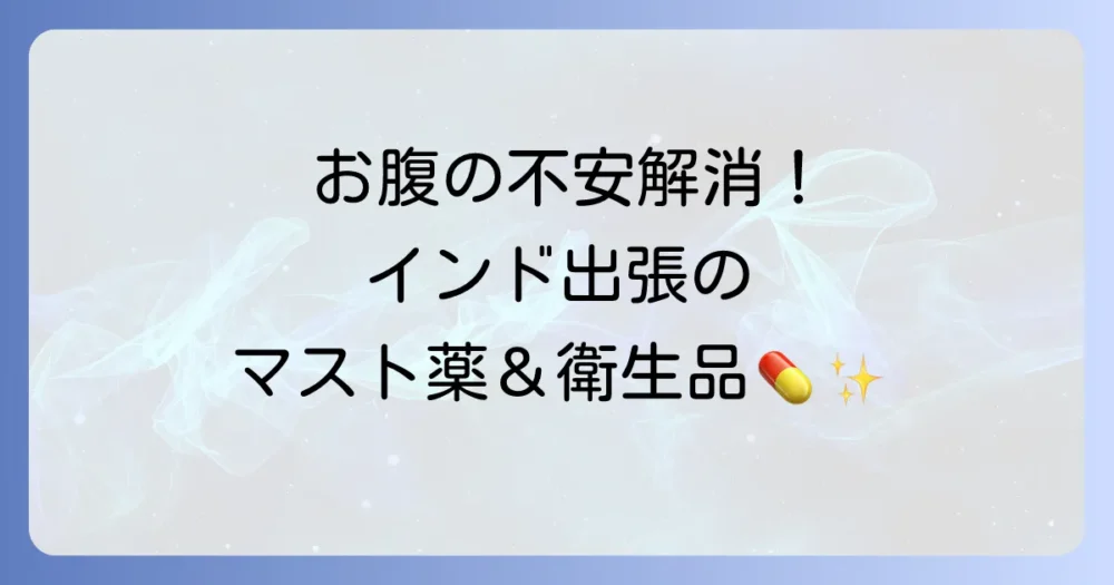 【お腹の心配無用】インド出張に必須の薬・衛生用品