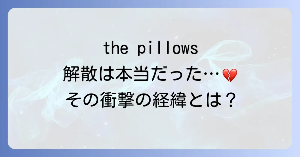 【結論】the pillowsは2025年1月31日に解散した