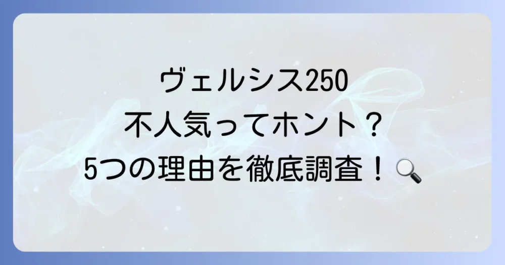 徹底解剖!ヴェルシス250が不人気と言われる5つの理由