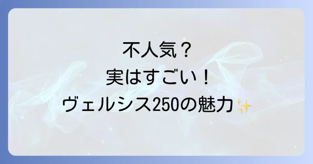不人気なだけじゃない!ヴェルシス250の隠れた5つの魅力