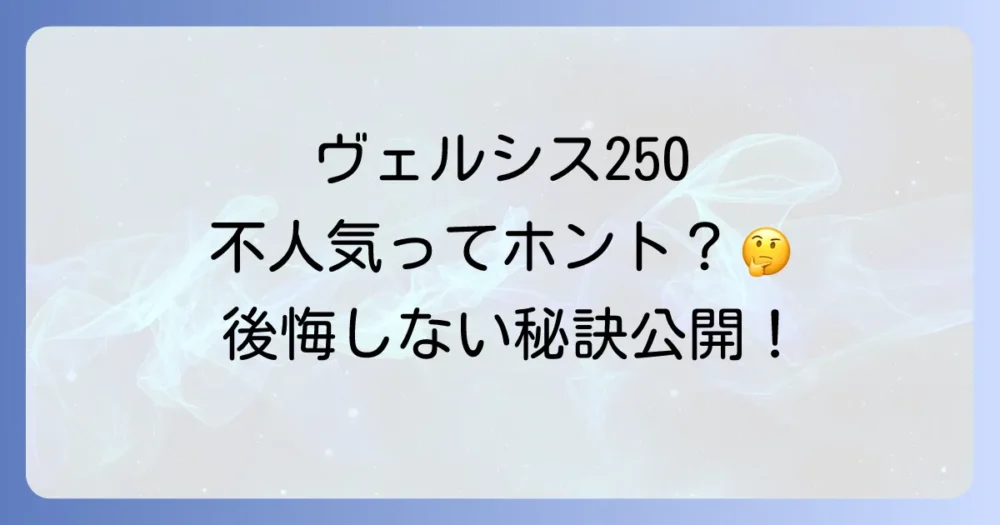 ヴェルシス250の購入で後悔しないために知っておきたいこと