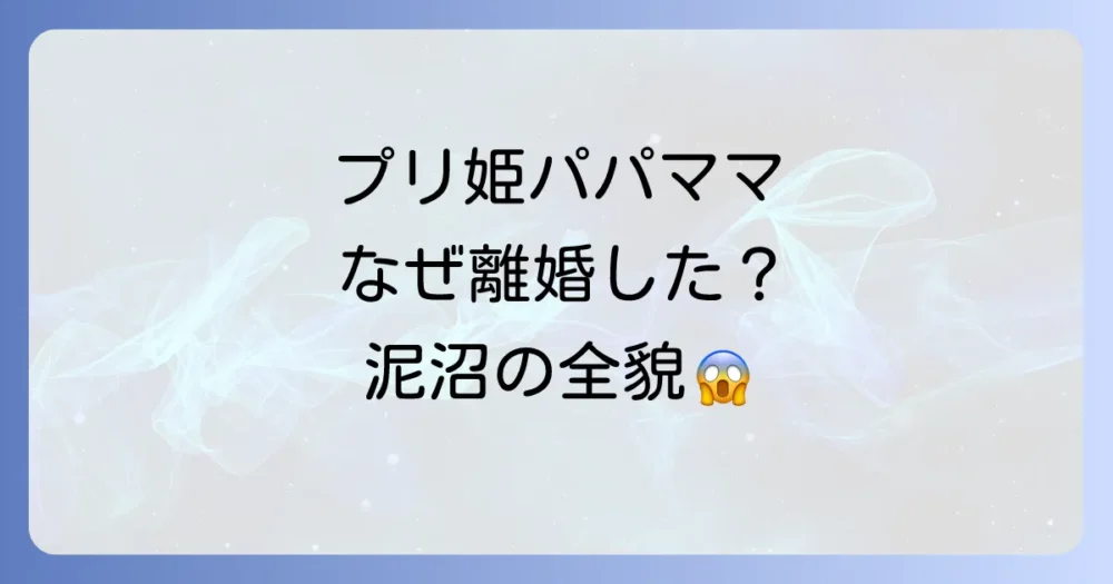 結論：プリ姫のパパとママはなぜ離婚した？泥沼化した理由の全貌