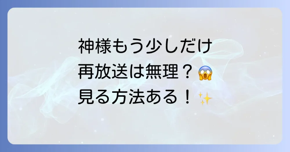 再放送は絶望的?でも『神様、もう少しだけ』を視聴する方法はある!