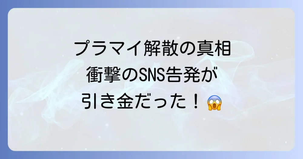 プラスマイナス解散の直接的な理由
