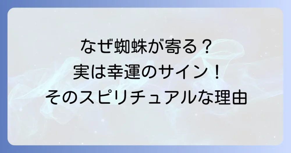 蜘蛛が寄ってくるスピリチュアルな基本的な理由