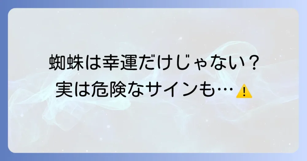 蜘蛛が寄ってくるのは悪い意味？警告とされるケース