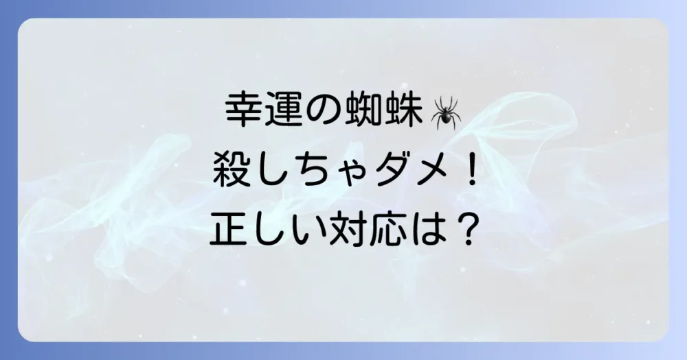 蜘蛛が寄ってきた時のスピリチュアルな対処法