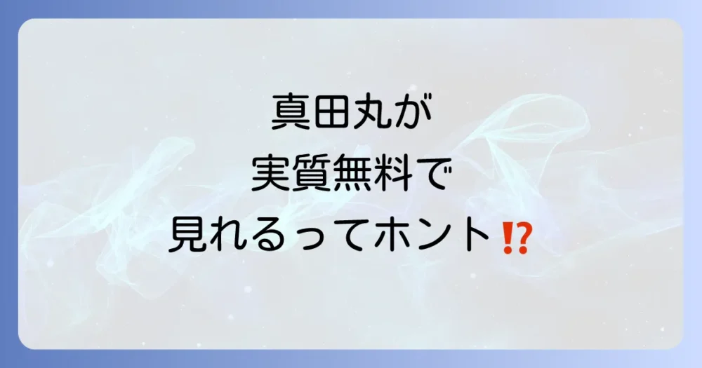 【今すぐ見たい方へ】「真田丸」を全話お得に視聴する方法3選