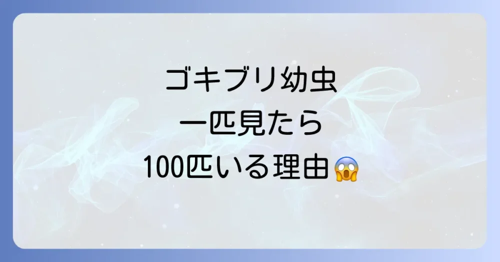 クロゴキブリの幼虫を一匹だけ見つけたら、それは危険のサイン!
