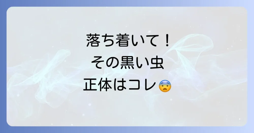 まずは落ち着いて!クロゴキブリの幼虫か確認しよう
