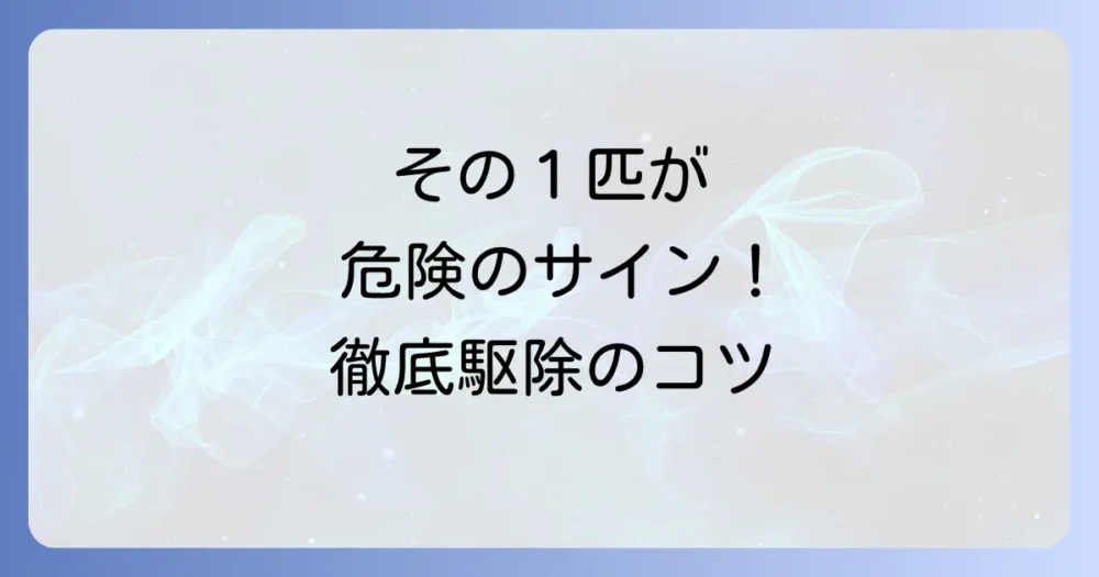 クロゴキブリの幼虫を一匹見つけた時の正しい対処法
