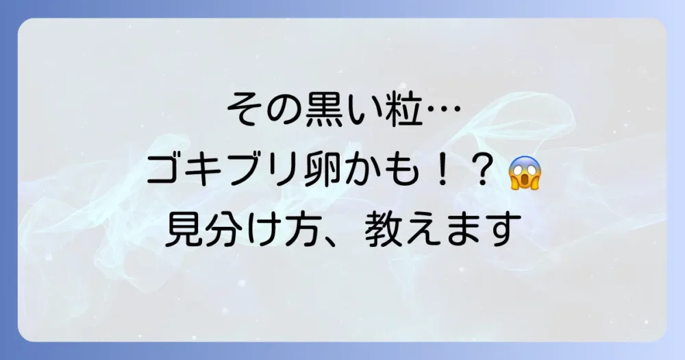これってゴキブリの卵?卵(卵鞘)の特徴と見分け方