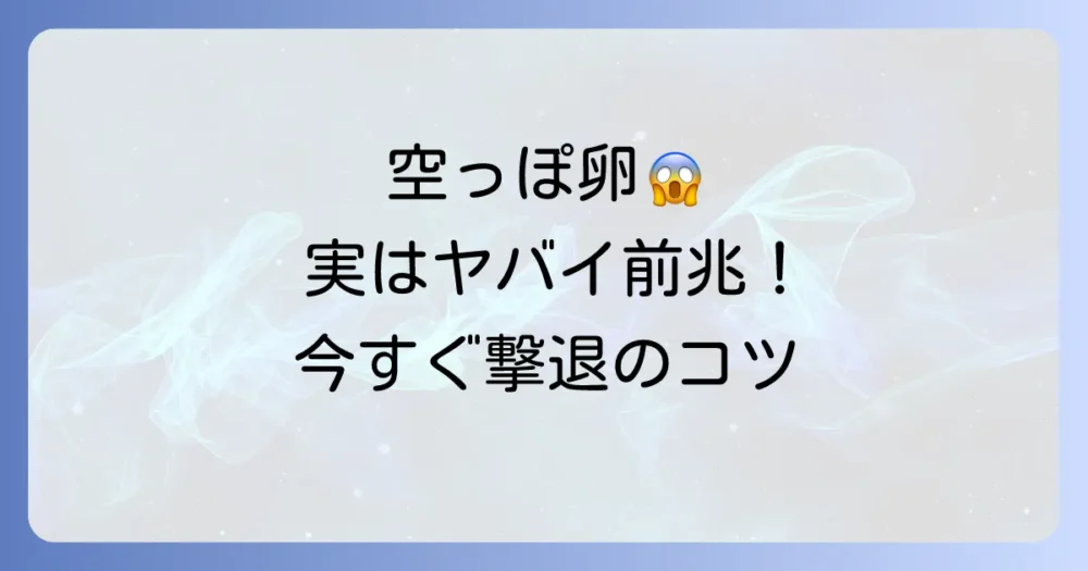 もう慌てない!空っぽのゴキブリの卵を見つけた時の正しい対処法